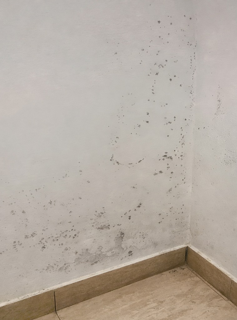 Mould on a wall before professional mould removal in Cyprus